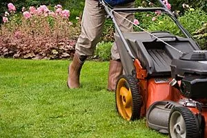 Gräsklippning med motorgräsklippare intill en blomrabatt